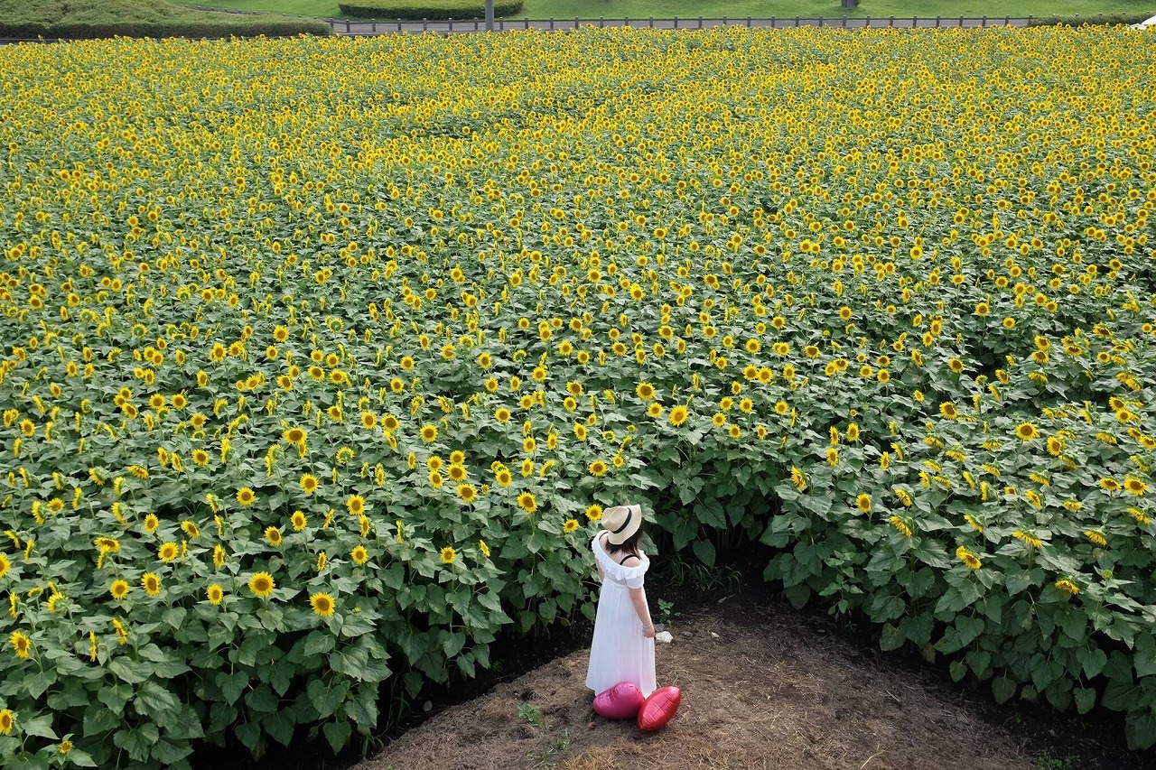 日録写真家 山本透